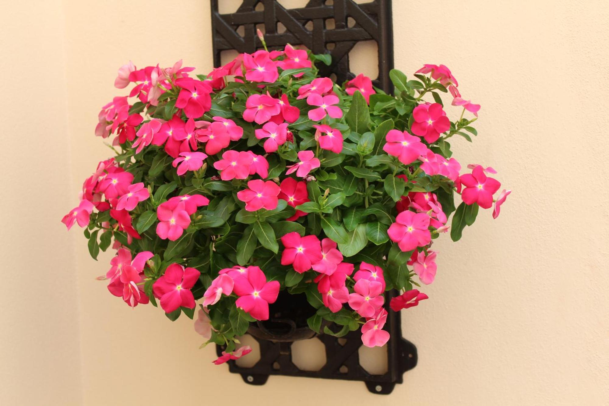 Falstaff Rooms & Suites Palermo Exterior foto